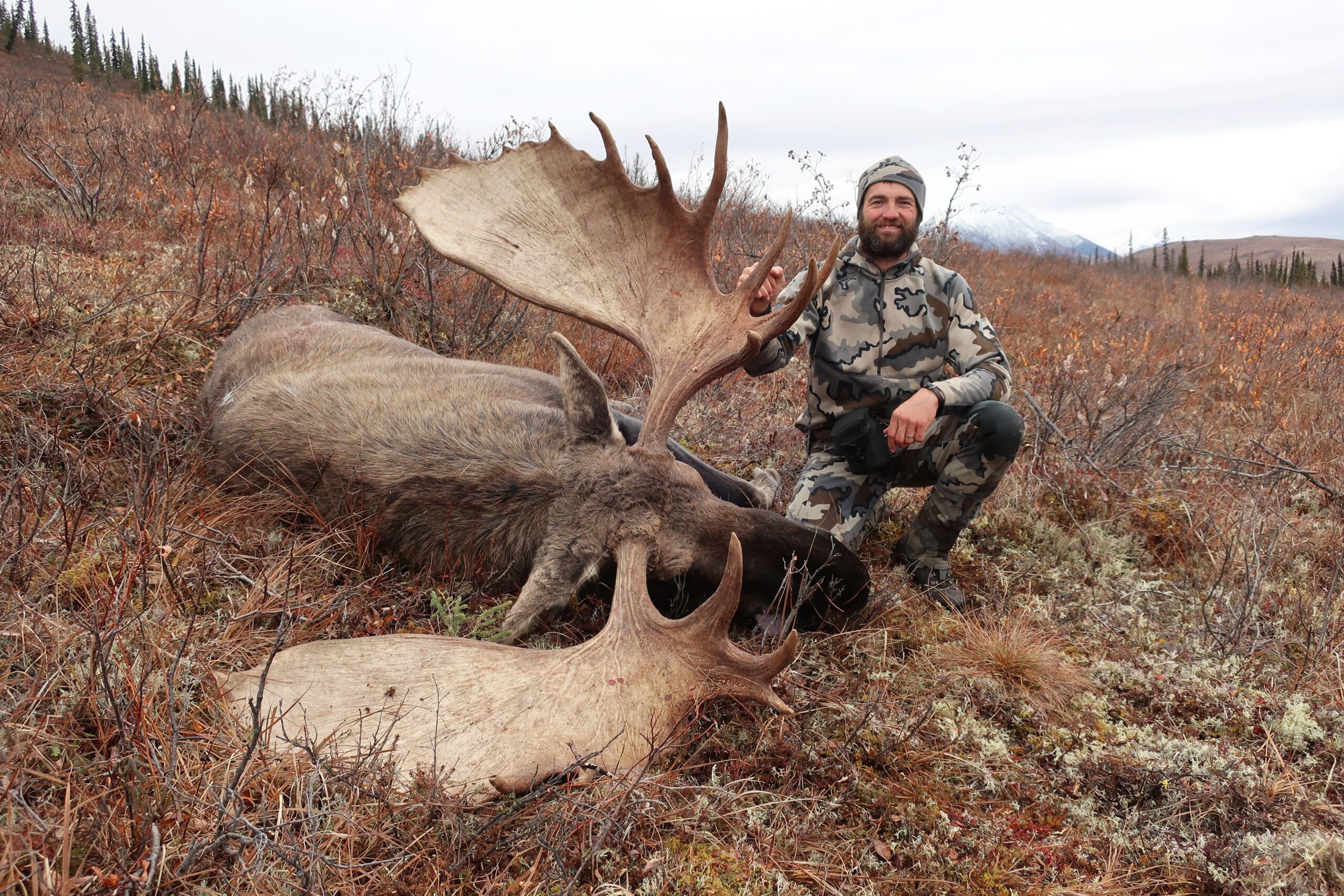 Billy Molls with a moose in the wilderness